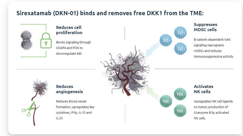 肿瘤免疫逃逸的“核心帮凶”DKK1 肿瘤免疫逃逸的“核心帮凶”DKK1