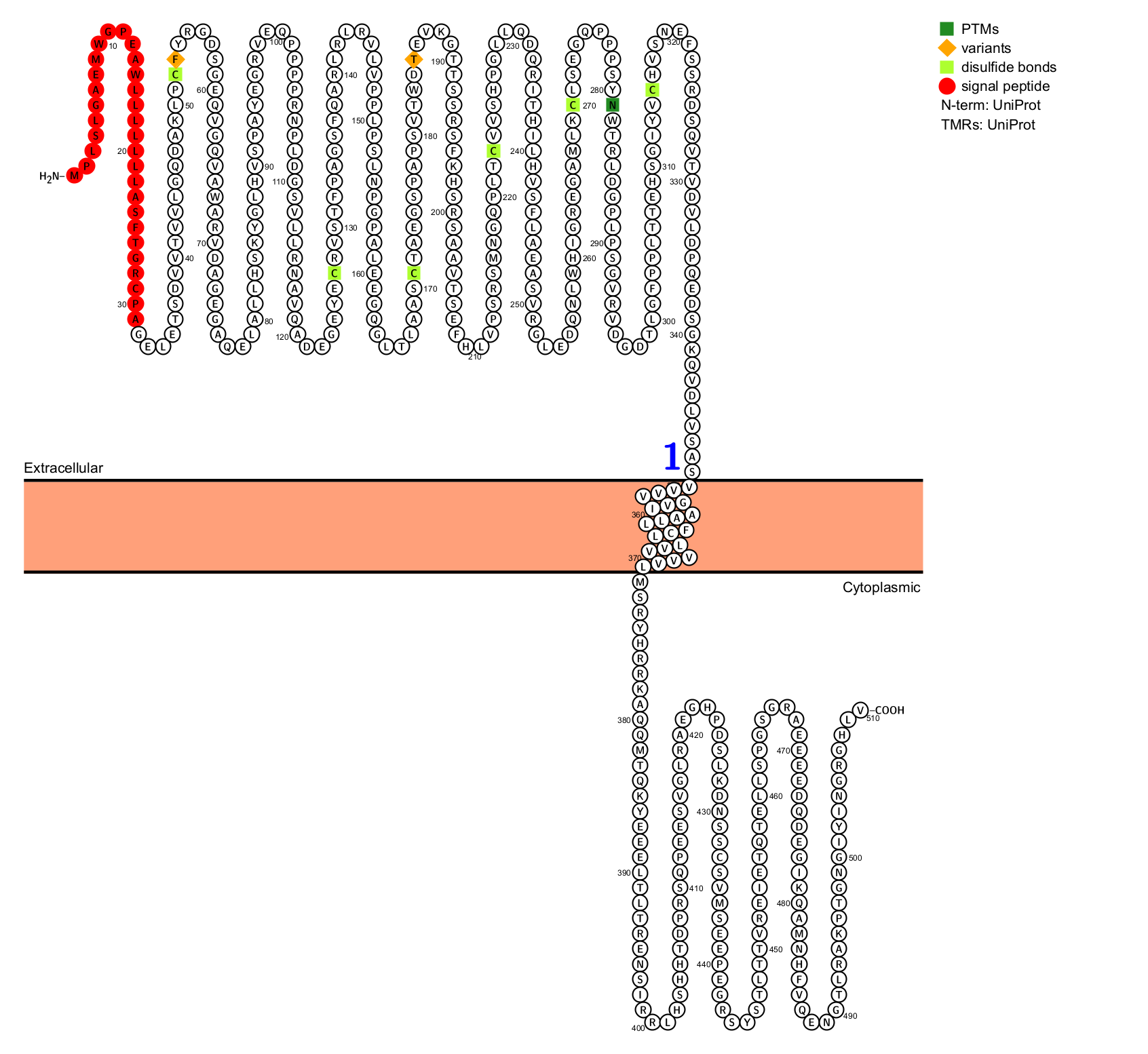 ADC赛道新型靶点Nectin-4 ADC赛道新型靶点Nectin-4