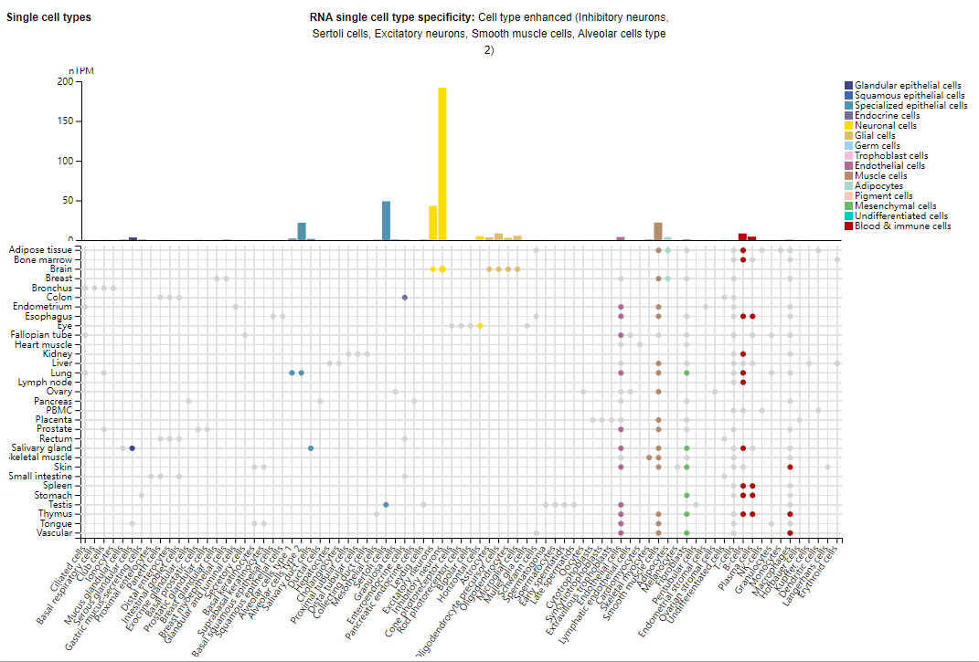大麻素受体CNR1 大麻素受体CNR1