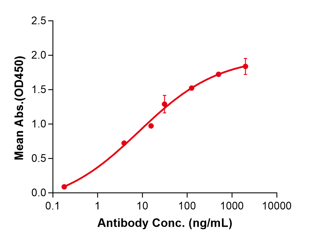 (Budoprutug)Biosimilar Reference Antibody(CD19)