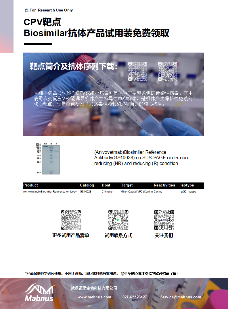 犬细小病毒CPV 犬细小病毒CPV