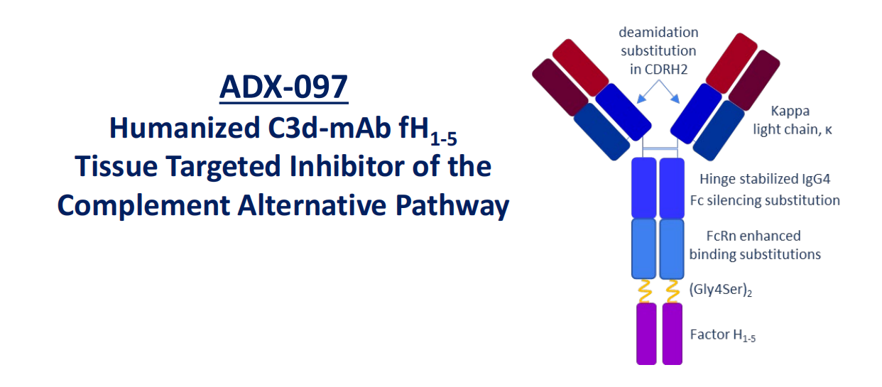 补体核心效应分子C3