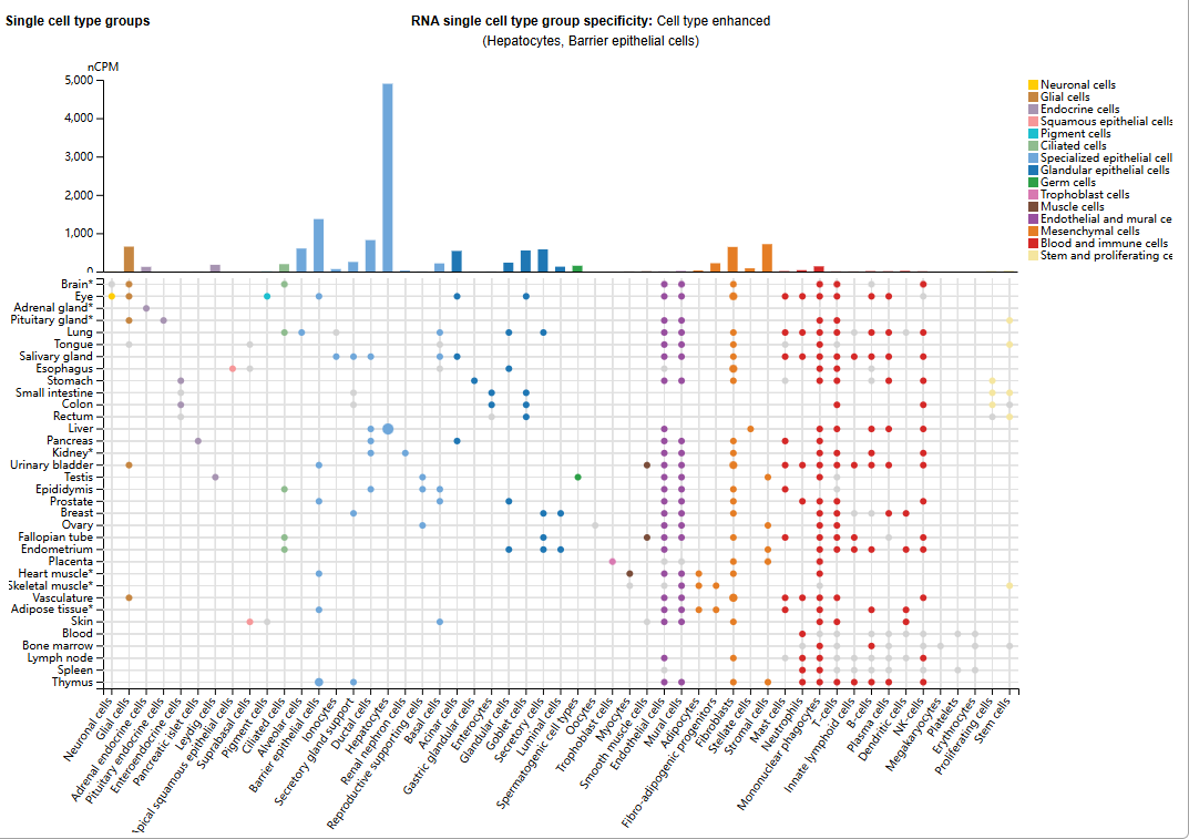 补体核心效应分子C3