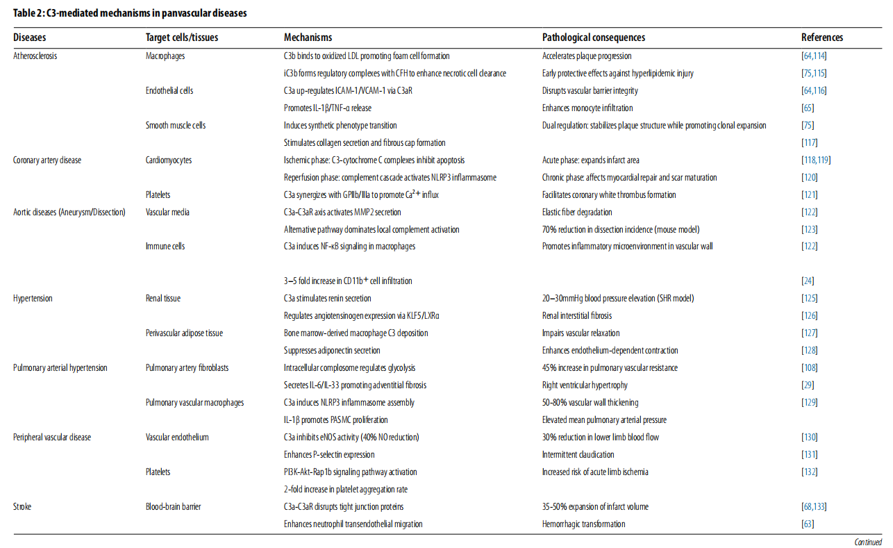 补体核心效应分子C3