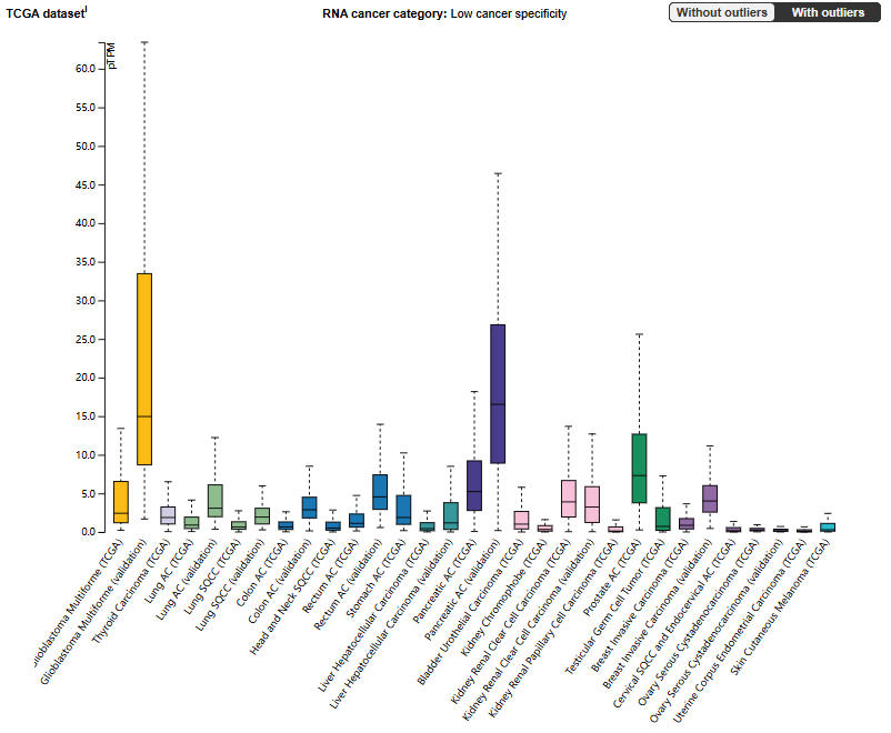酪氨酸蛋白激酶受体 EPHA3