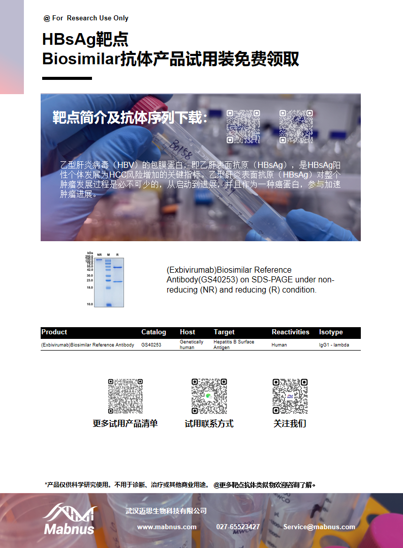 乙型肝炎病毒表面抗原HBsAg