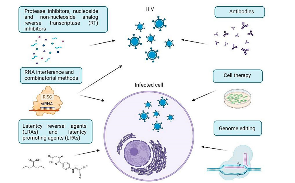 人类免疫缺陷病毒HIV-1