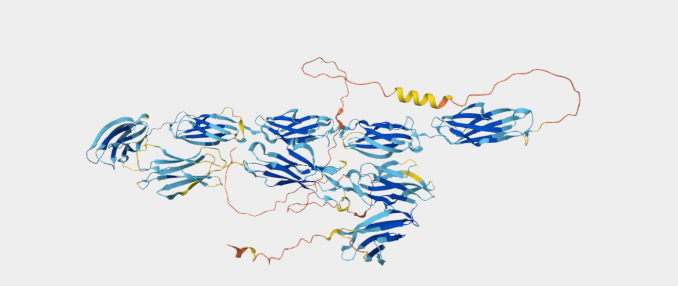 免疫治疗靶点FCRL5