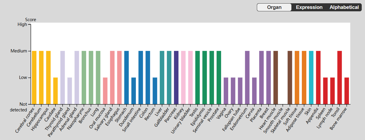 白血病抑制因子LIF