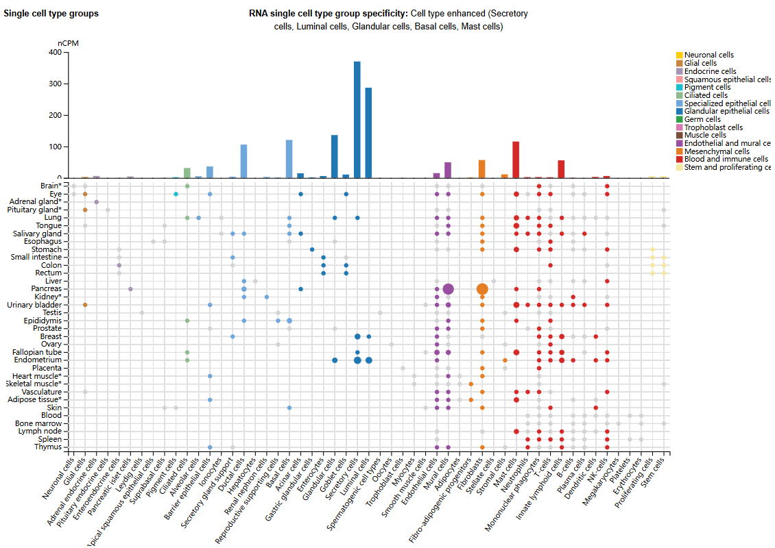 白血病抑制因子LIF