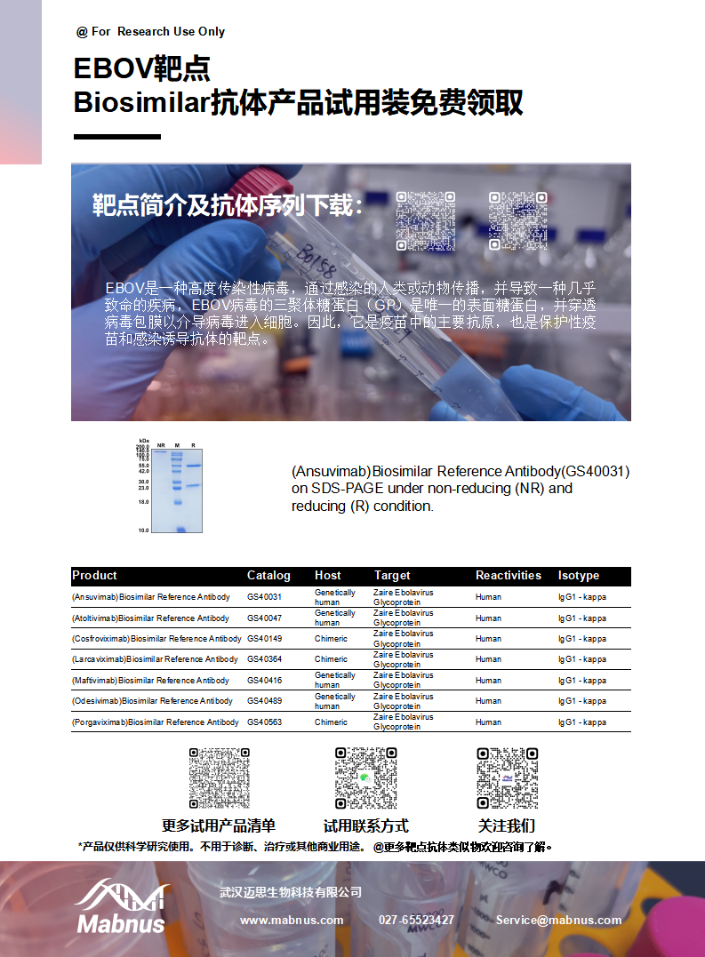 负链RNA病毒EBOV