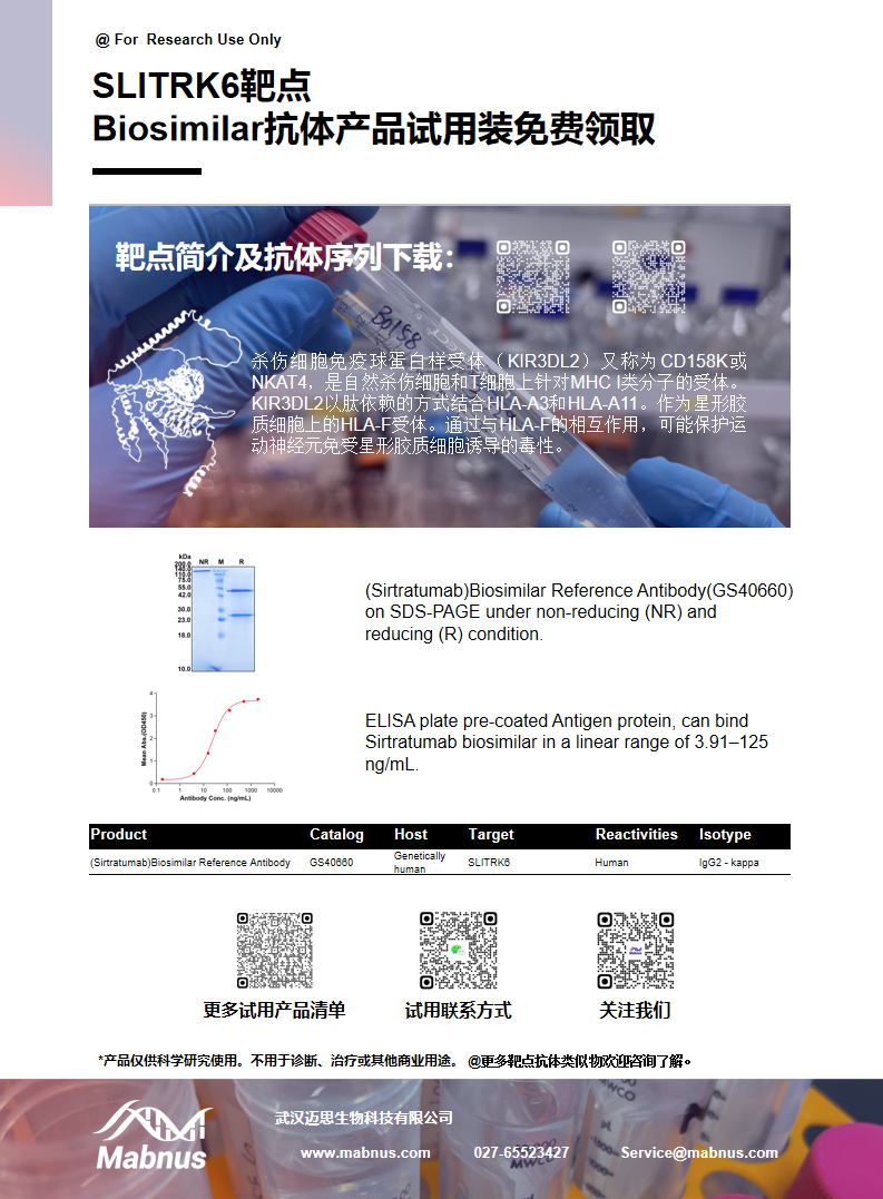 神经突生长调节因子SLITRK6 神经突生长调节因子SLITRK6