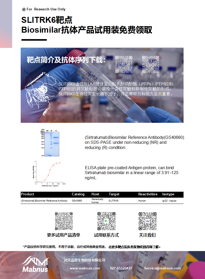 神经突生长调节因子SLITRK6 神经突生长调节因子SLITRK6