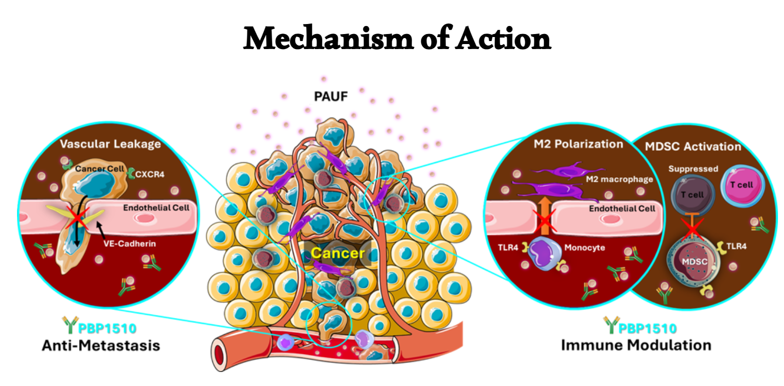 胰腺癌治疗靶点PAUF