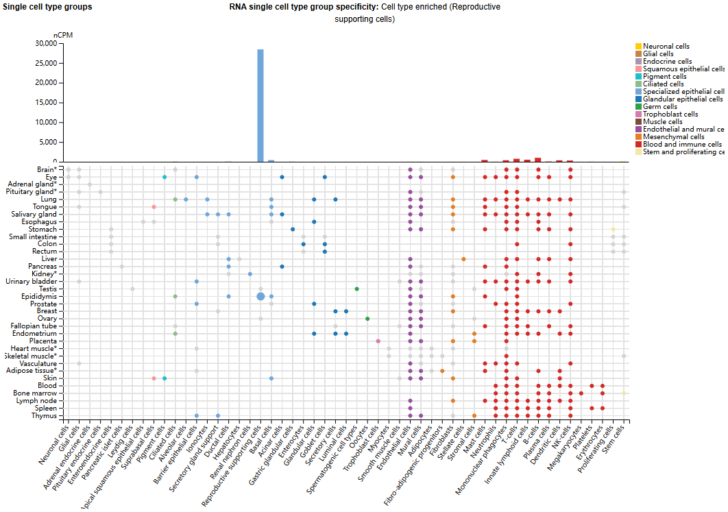 唾液酸化抑制性受体配体CD52