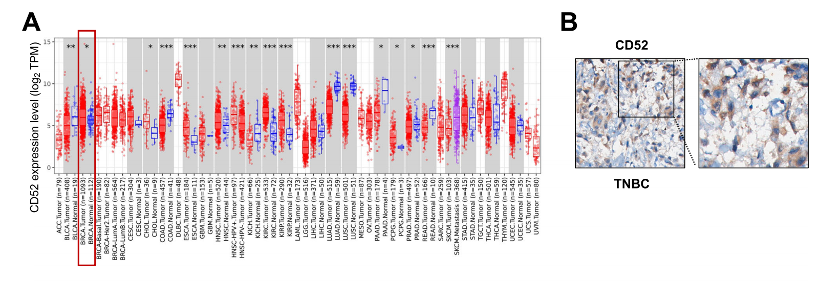 唾液酸化抑制性受体配体CD52