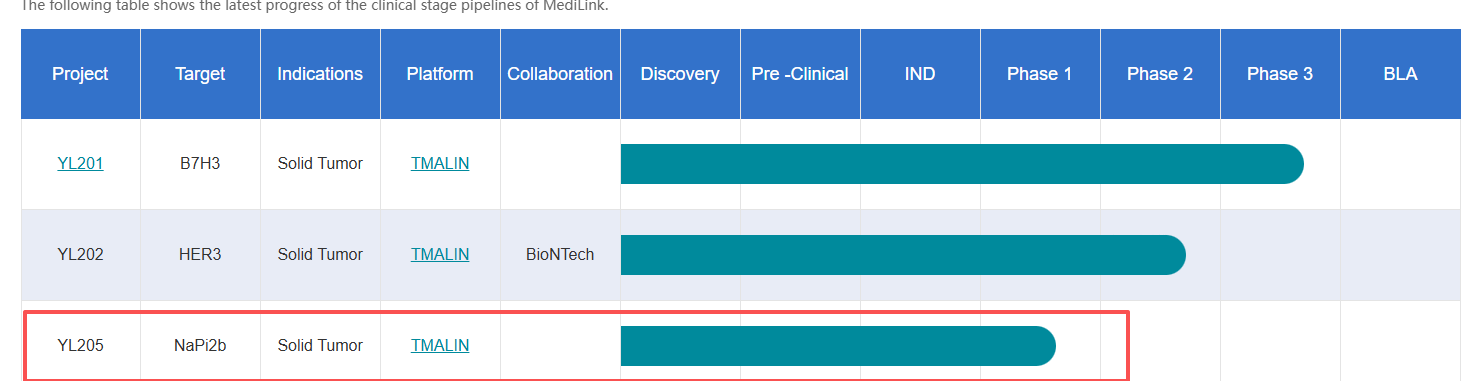 钠依赖性磷酸盐转运蛋白SLC34A2