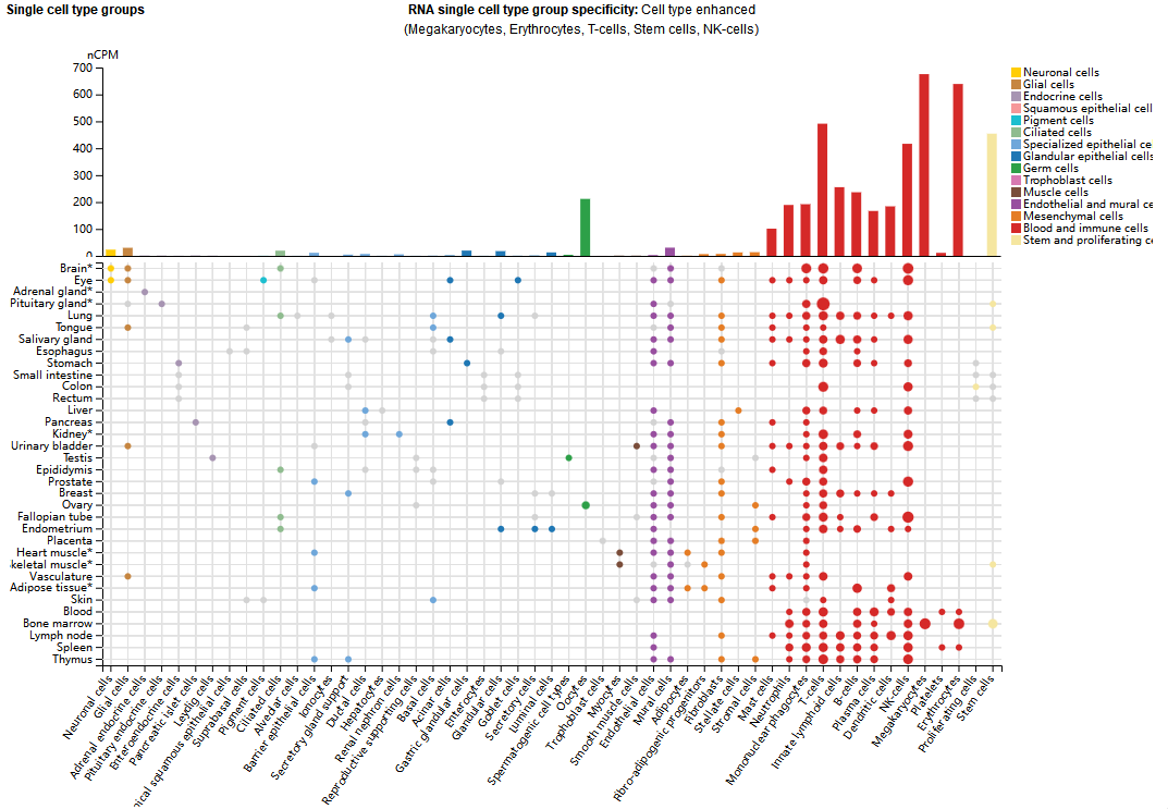 整合素亚基 ITGA4