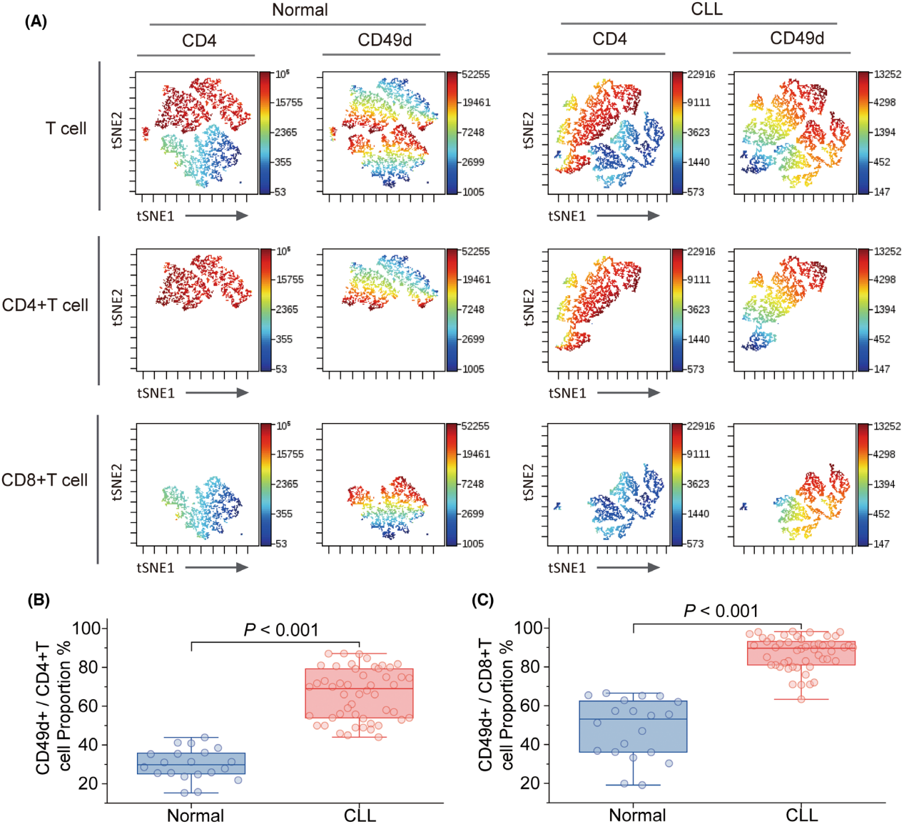 整合素亚基 ITGA4