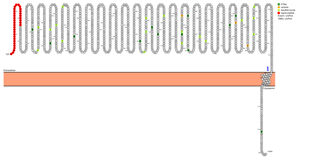 整合素亚基 ITGA4