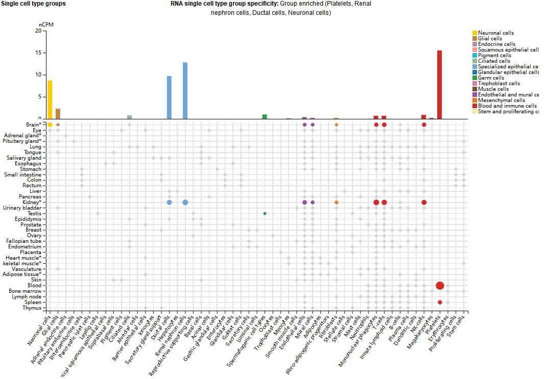 血小板糖蛋白GP6