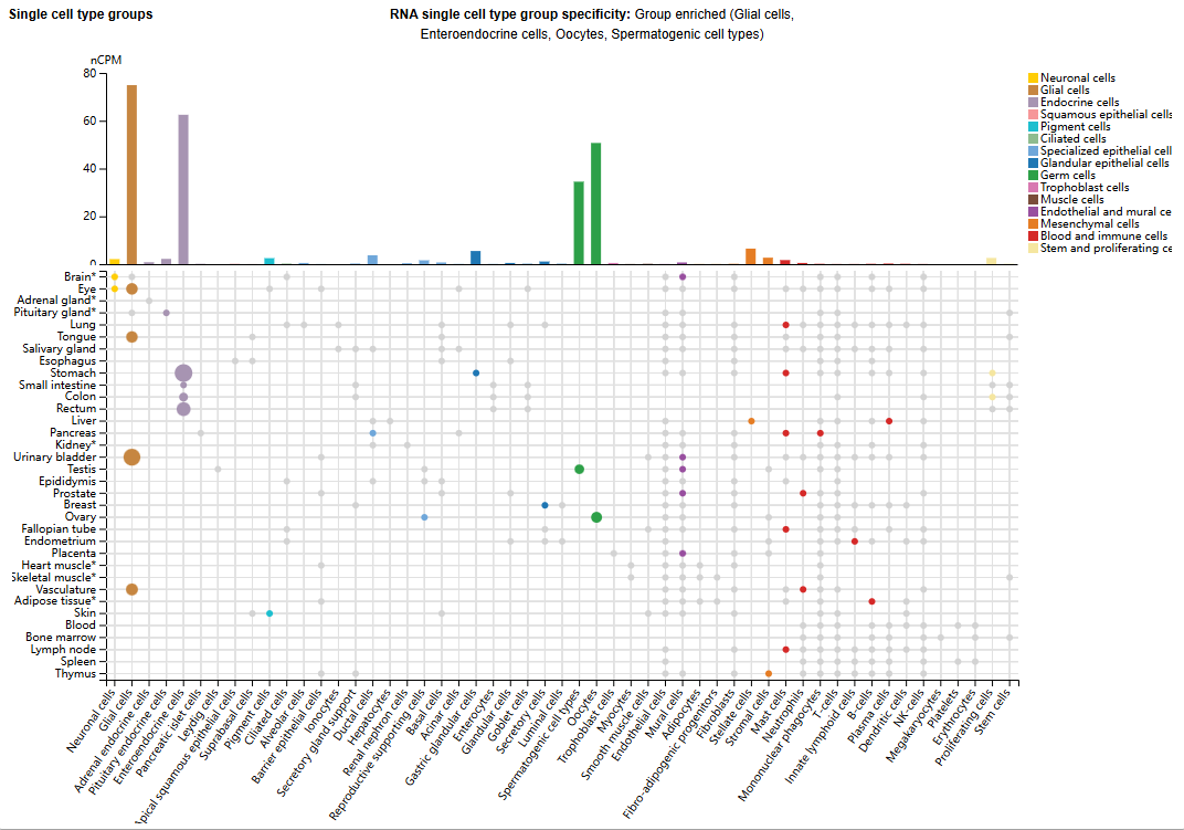 神经疼痛治疗靶点GFRA3