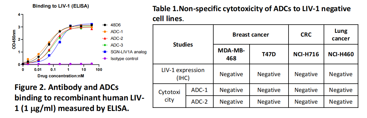 锌转运蛋白SLC39A6 锌转运蛋白SLC39A6