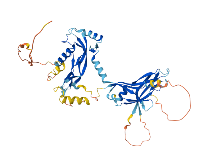 肿瘤微环境调控因子INHBA