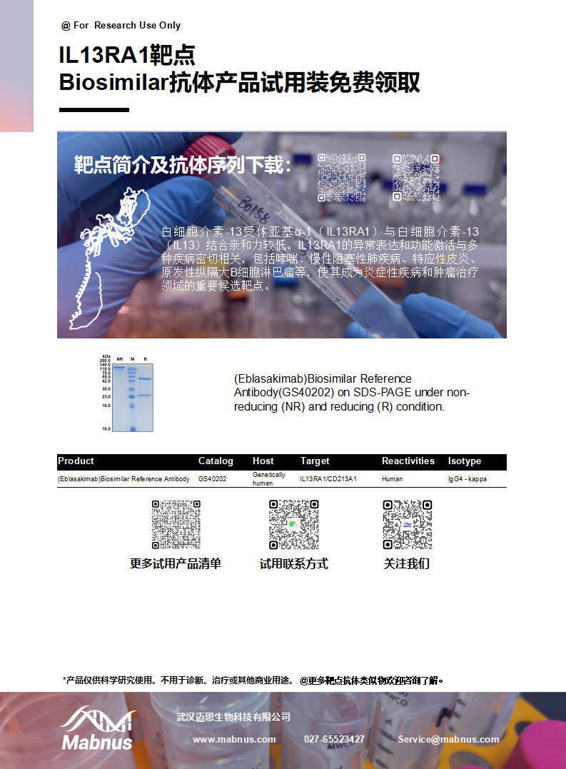2型炎症共受体IL13RA1 2型炎症共受体IL13RA1