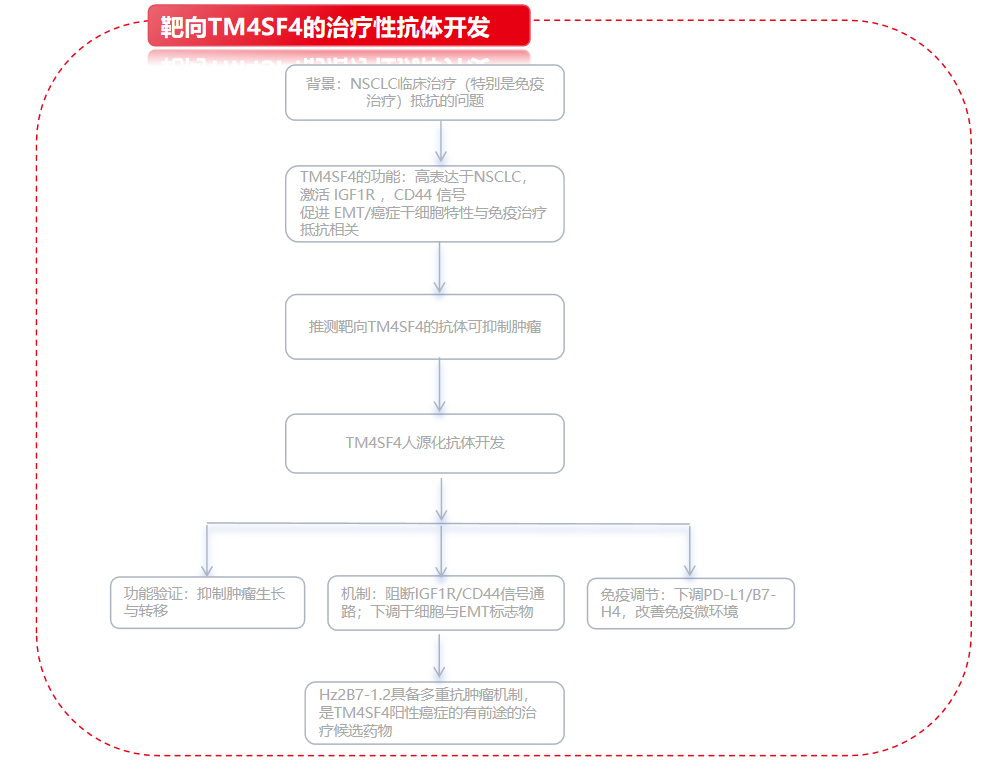 文献分享：靶向TM4SF4治疗性抗体开发及表征