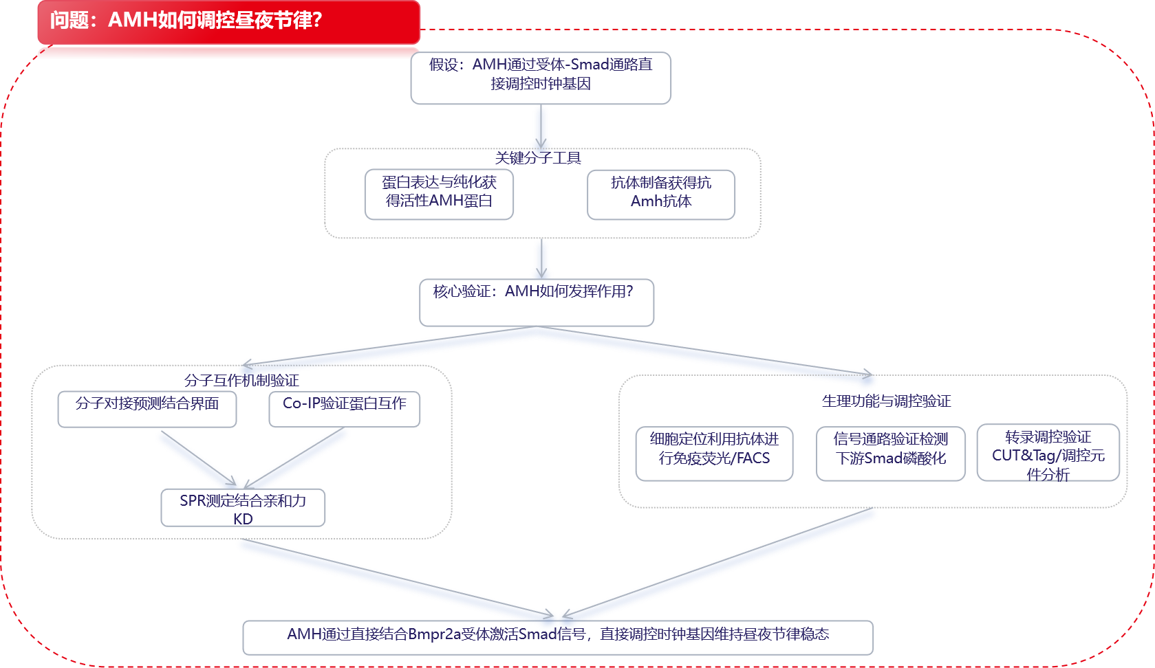 项目文章IF=15.7：抗苗勒管激素信号维持斑马鱼的昼夜稳态