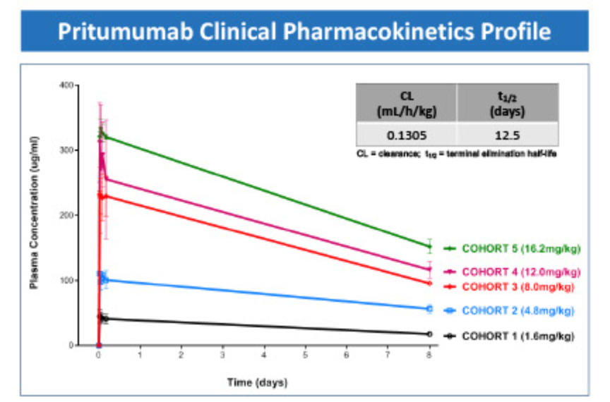 细胞骨架协调蛋白VIM