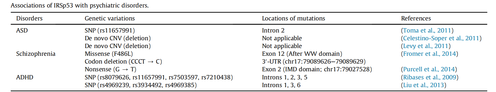 树突棘形态调节因子BAIAP2 树突棘形态调节因子BAIAP2