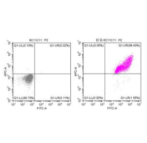 GFP Monoclonal Antibody