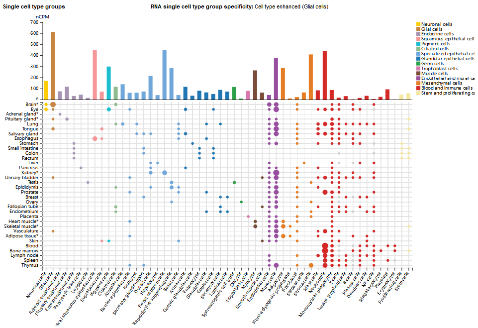 神经紧张素受体SORT1 神经紧张素受体SORT1