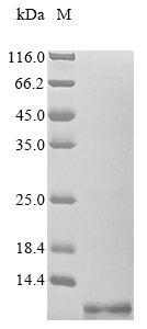 Recombinant Enterovirus A71 Genome polyprotein,partial