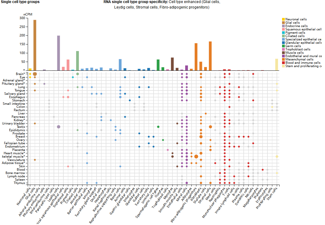 神经元再生和存活调节靶点RGMA 神经元再生和存活调节靶点RGMA