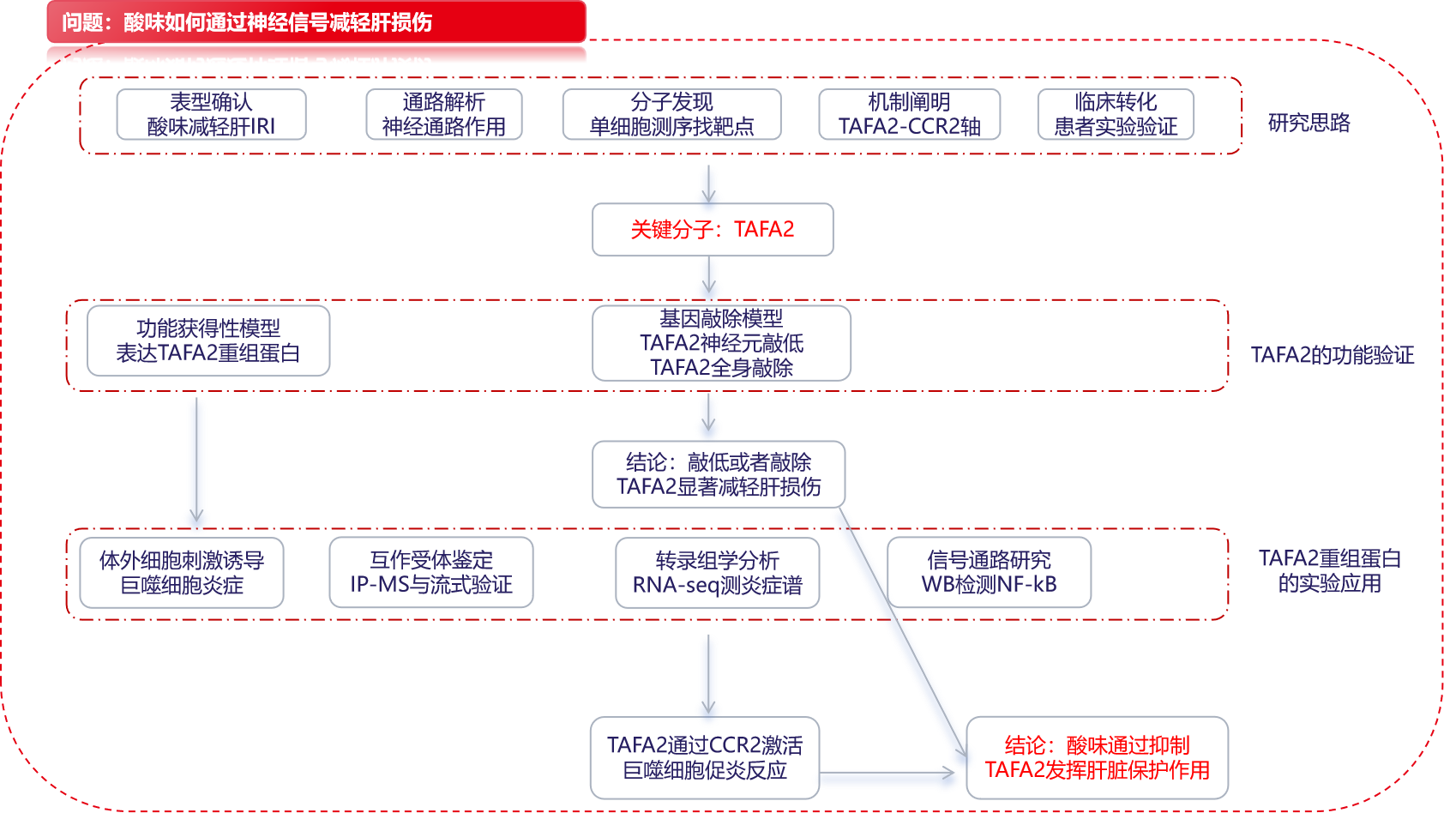 项目文章IF=33.0:酸信号抑制TAFA2有助于减弱巨噬细胞介导的肝损伤 项目文章IF=33.0:酸信号抑制TAFA2有助于减弱巨噬细胞介导的肝损伤