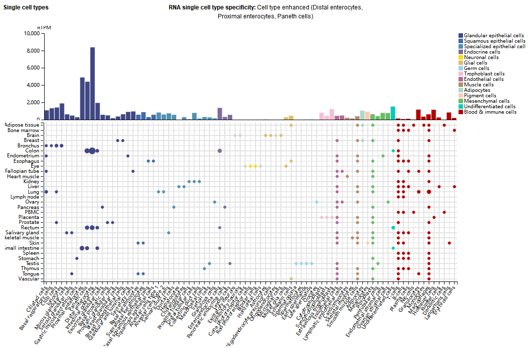 阿尔兹海默病治疗靶点LGALS3 阿尔兹海默病治疗靶点LGALS3