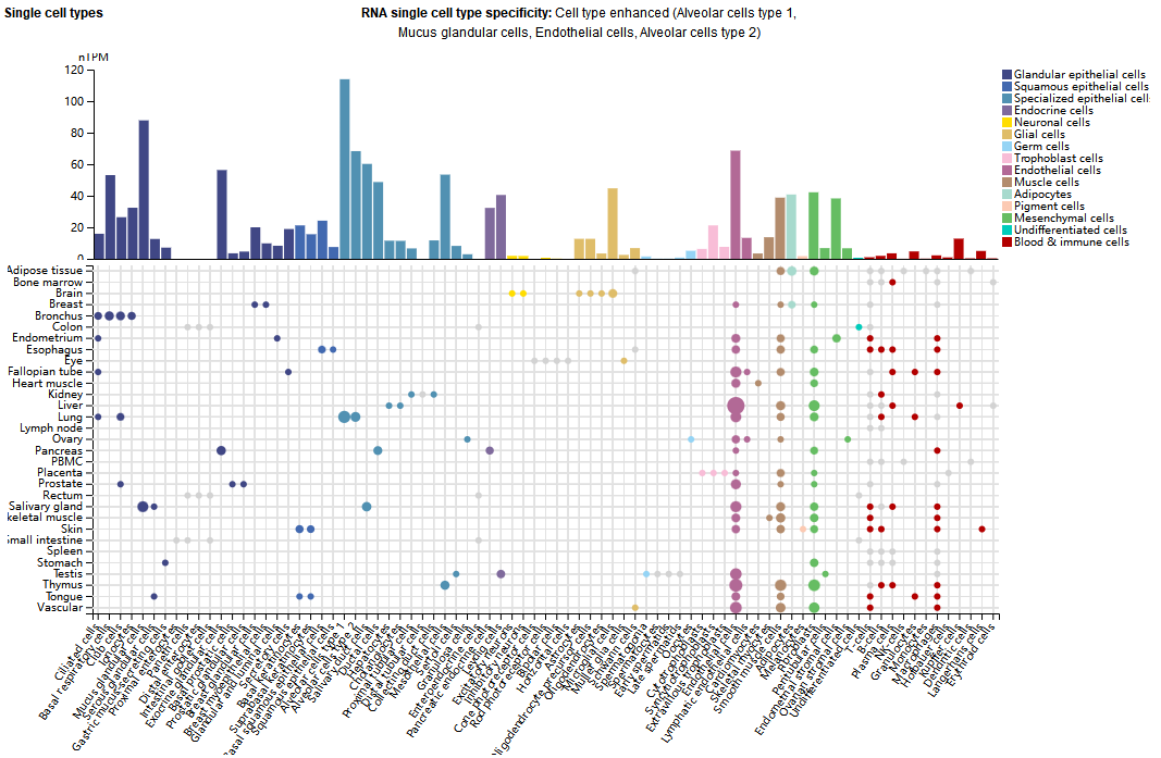 双配体共享受体OSMR