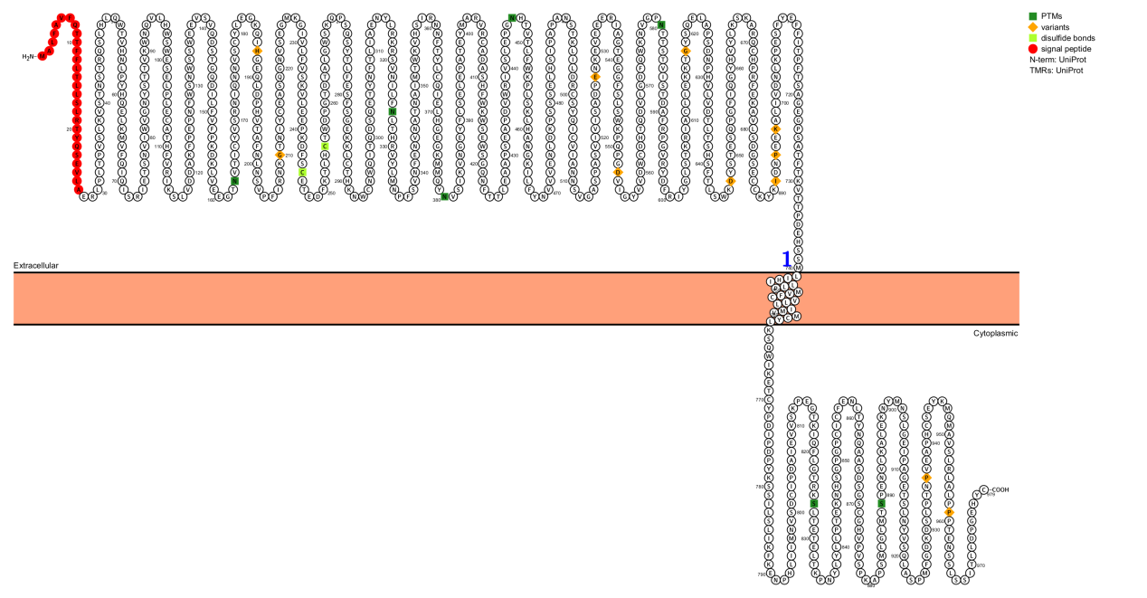 双配体共享受体OSMR