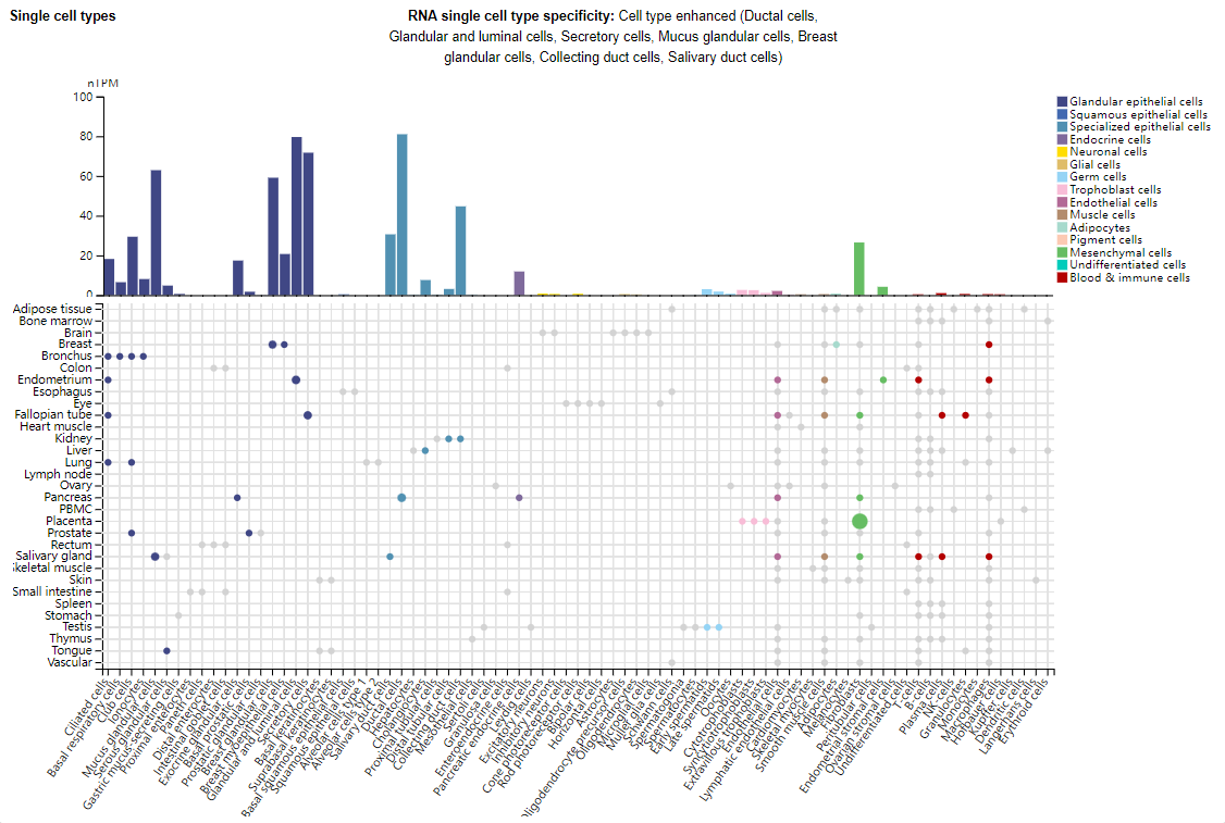 免疫抑制分子B7H4 免疫抑制分子B7H4