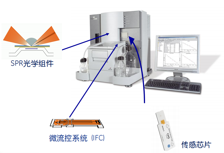 分子互作技术服务介绍:表面等离子体共振SPR 分子互作技术服务介绍:表面等离子体共振SPR