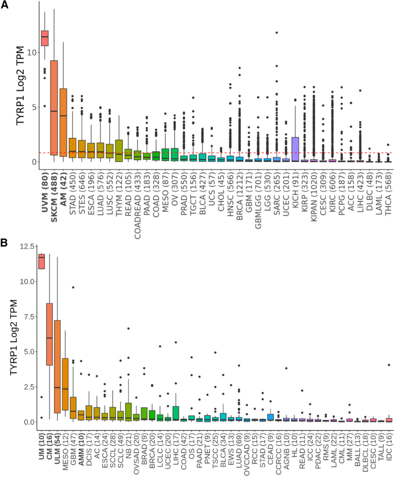 黑色素生成调控靶点TYRP1 黑色素生成调控靶点TYRP1
