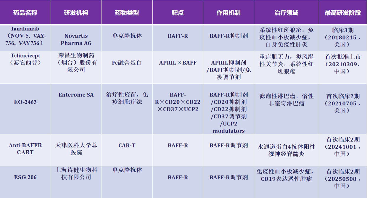 B细胞激活因子受体BAFFR