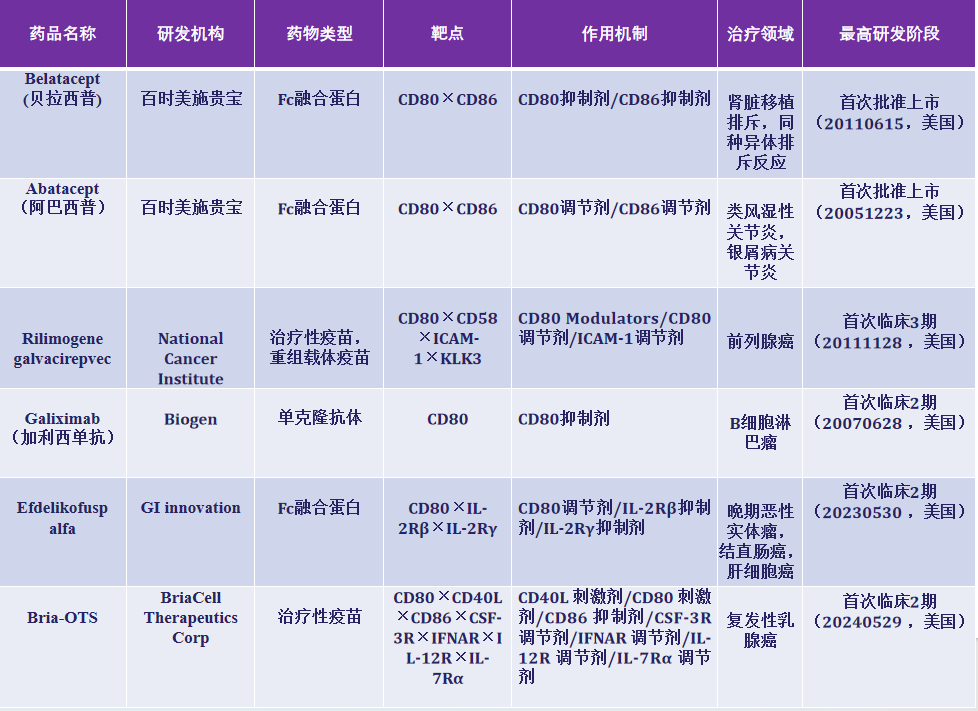 白细胞分化抗原CD80