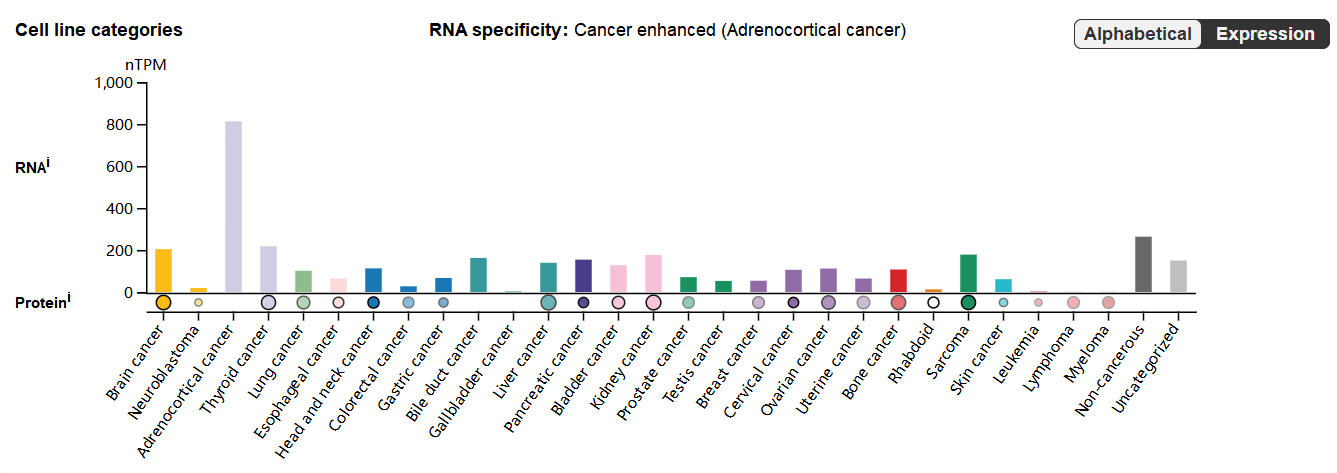 酪氨酸蛋白激酶受体AXL 酪氨酸蛋白激酶受体AXL